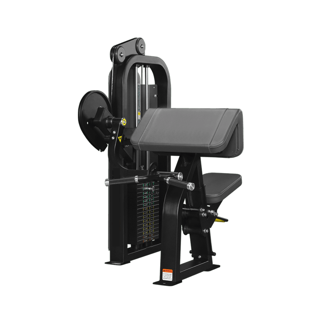 Bicep Curl
