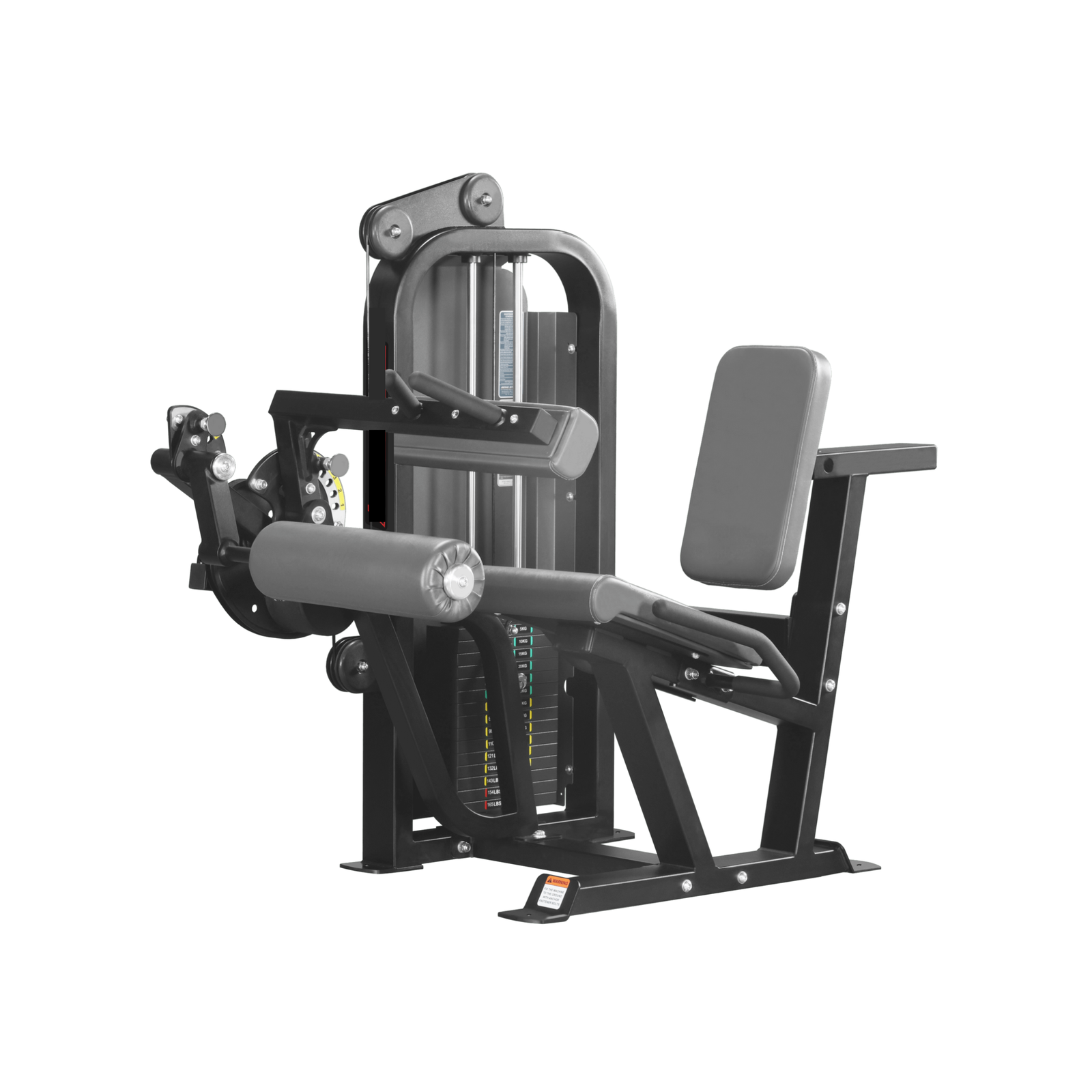 Seated Leg Curl