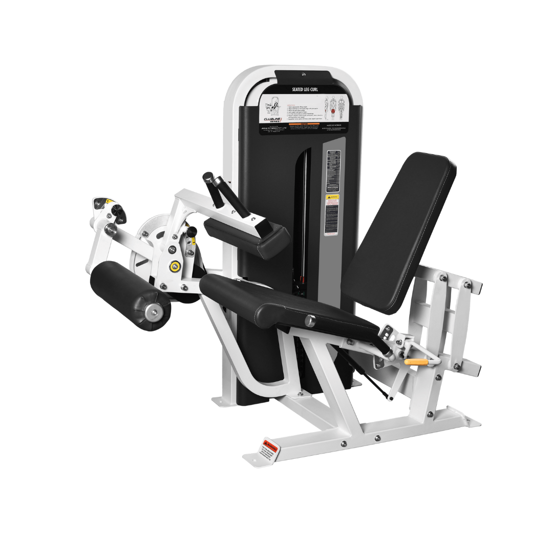 Seated Leg Curl