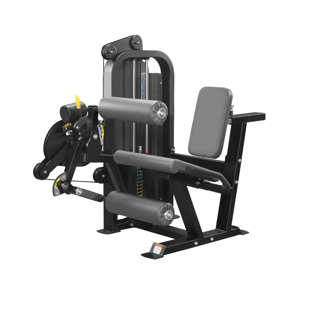 Seated Leg Curl / Extension Combo
